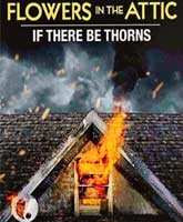 If There Be Thorns /  
